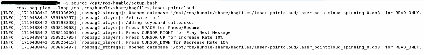 rosbag_play_screen