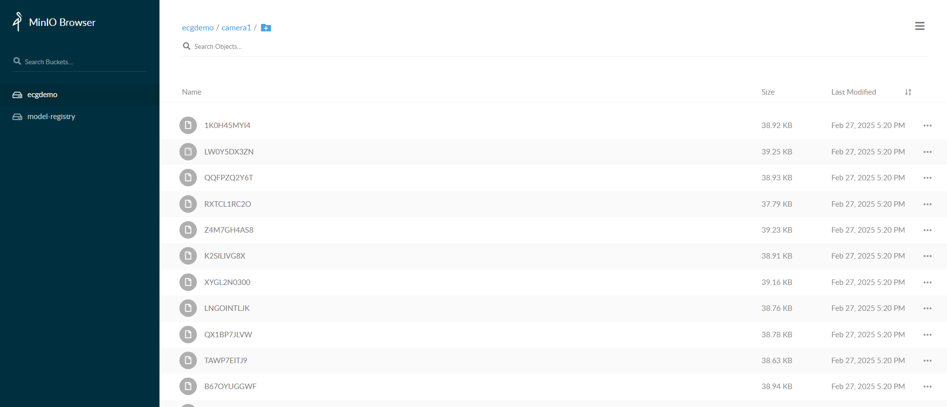 S3 minio image storage