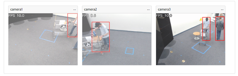 Verify object detection inference