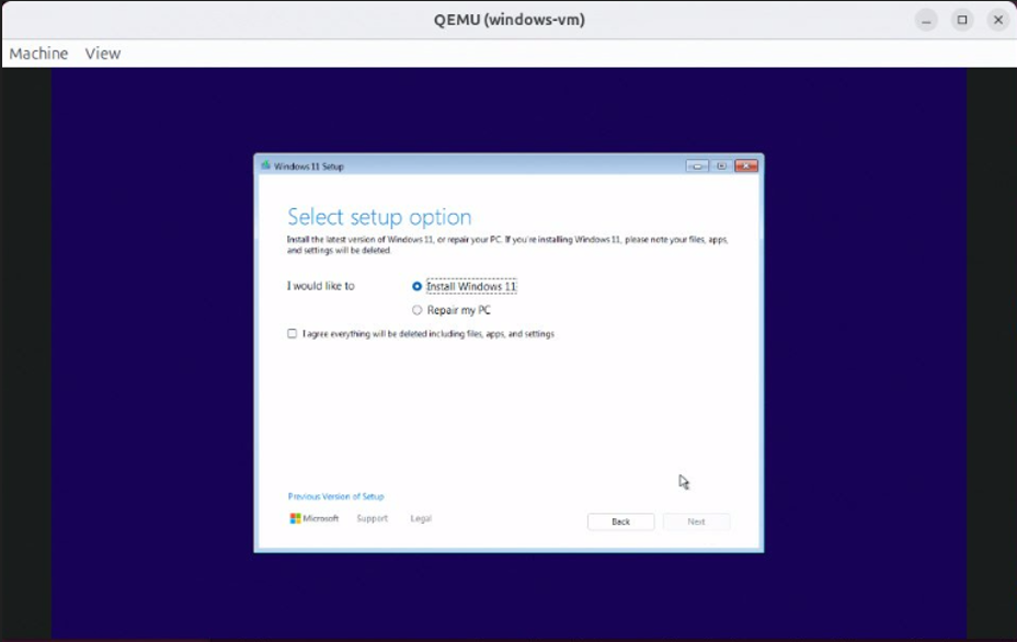 Choose Setup Option
