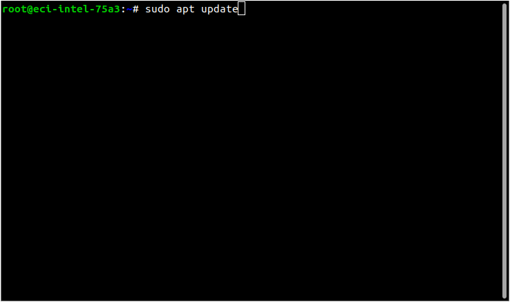 sudo apt update