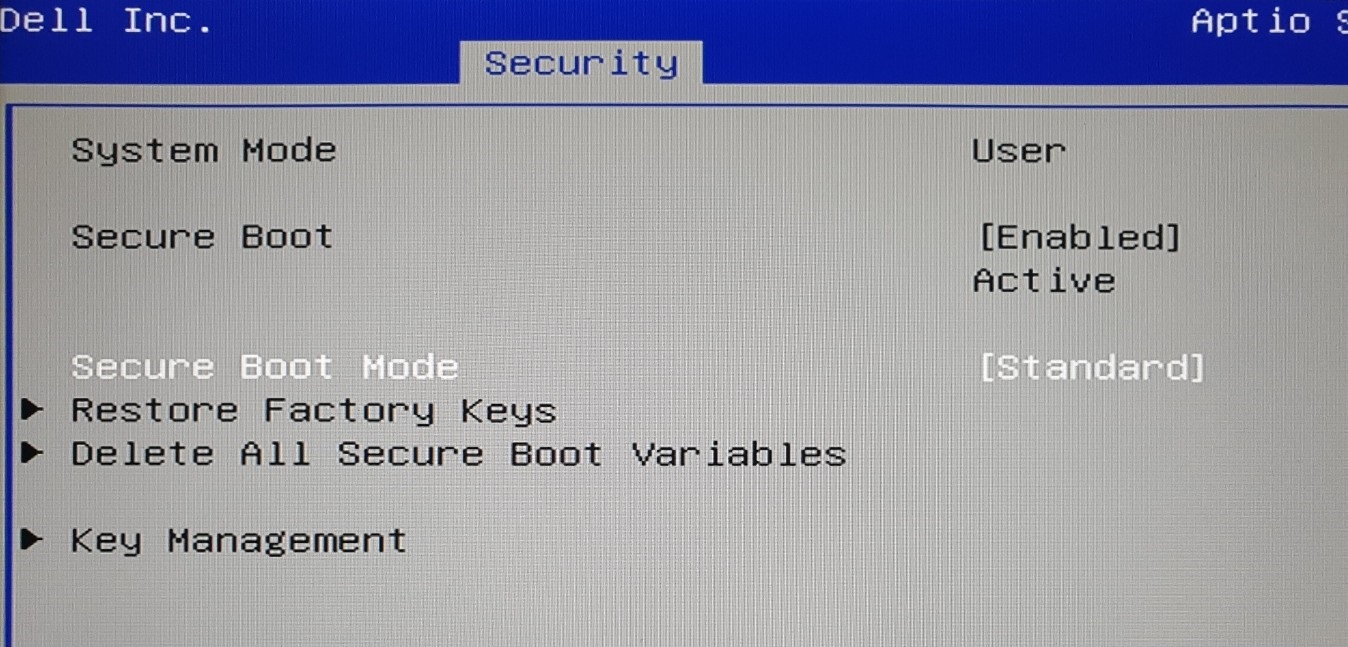 BIOS Secure Boot setting