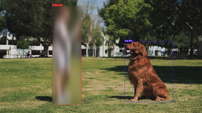 Privacy blur output: the detected person is blurred while the dog stays sharp