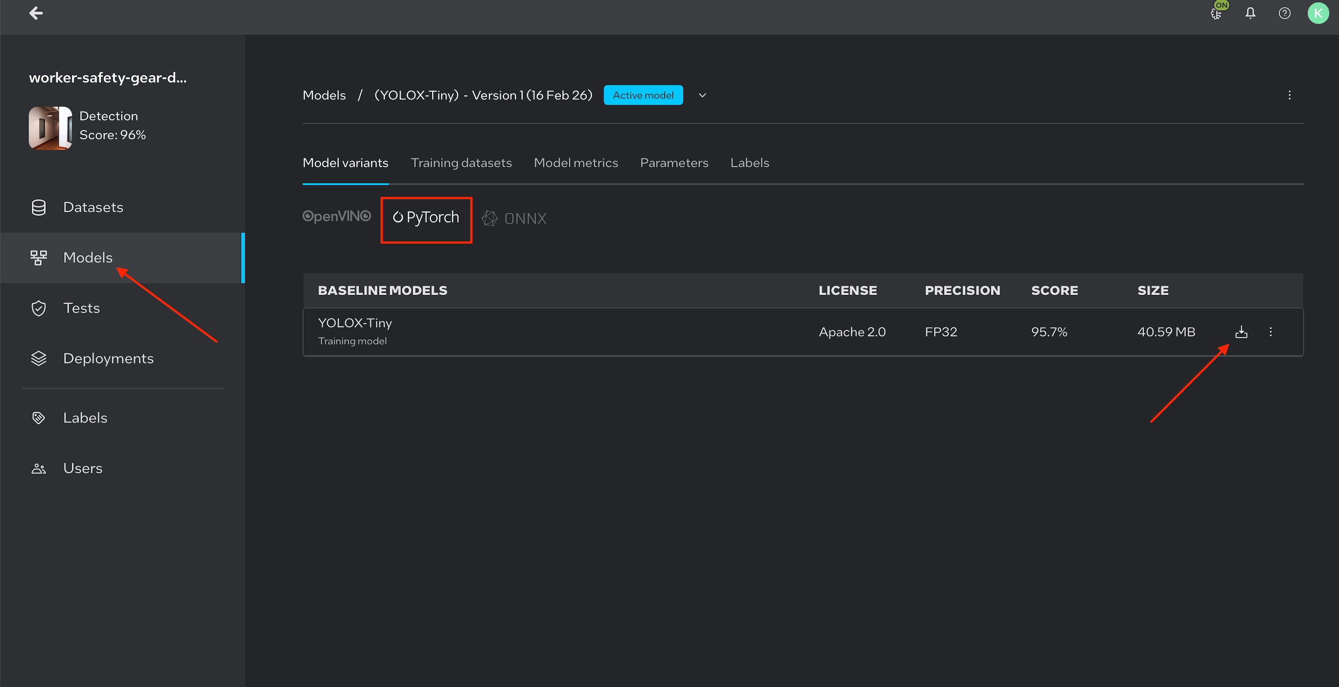 Download PyTorch Weights from Intel Geti