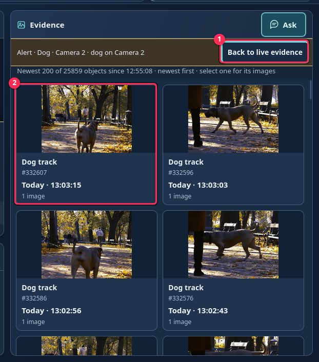 Alert view
