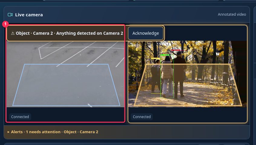 Camera grid