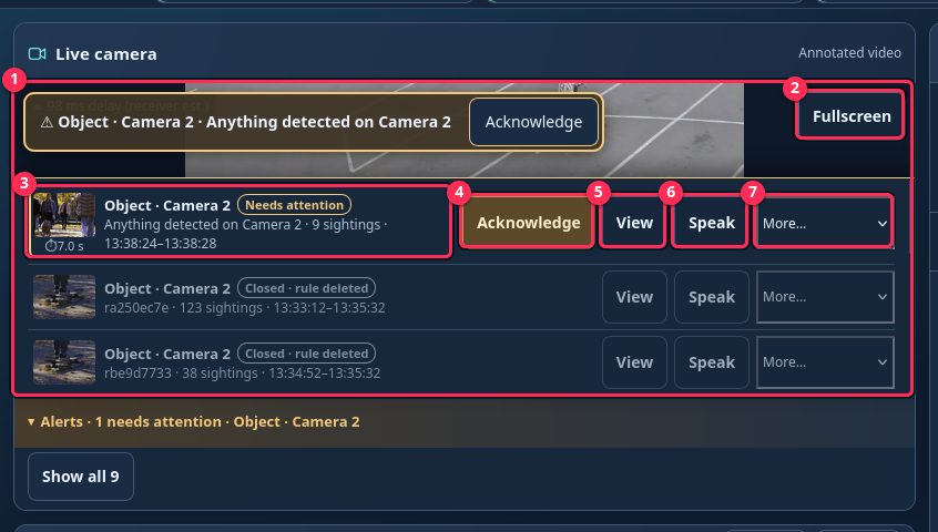 Live camera and alerts