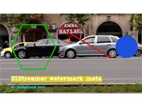 Watermark Metadata