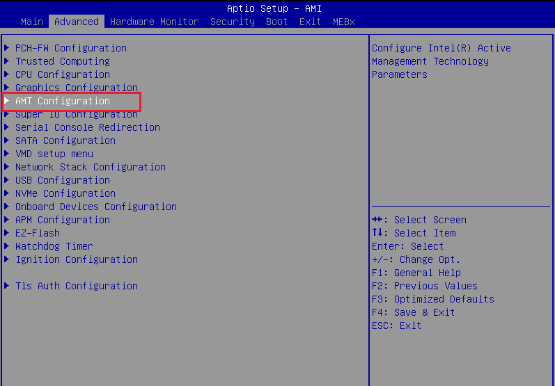 Select AMT configuration