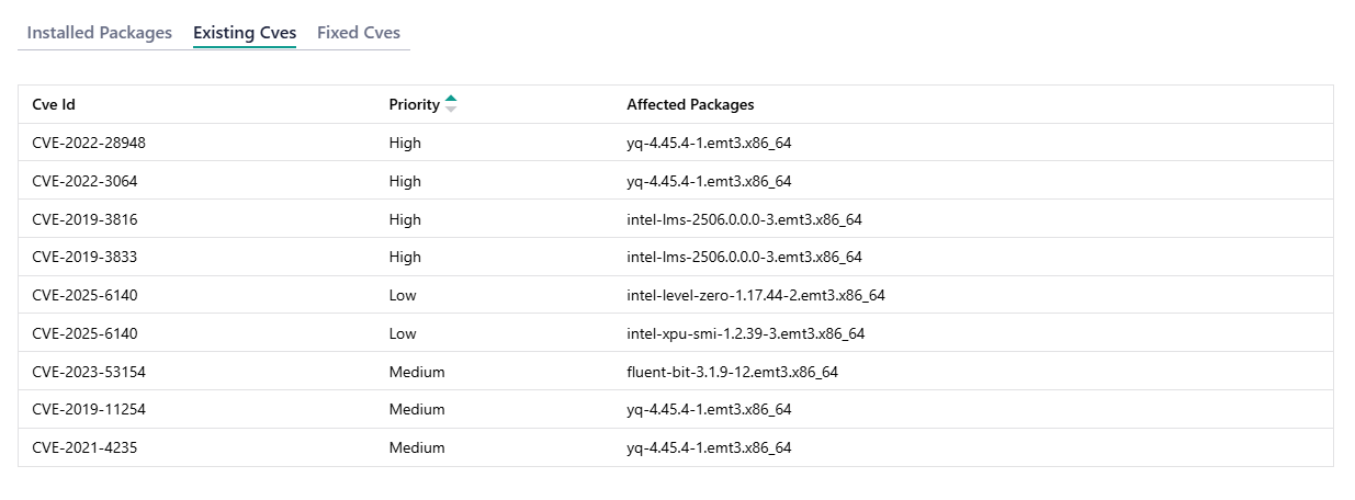 View Existing CVEs Details